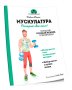 Мускулатура