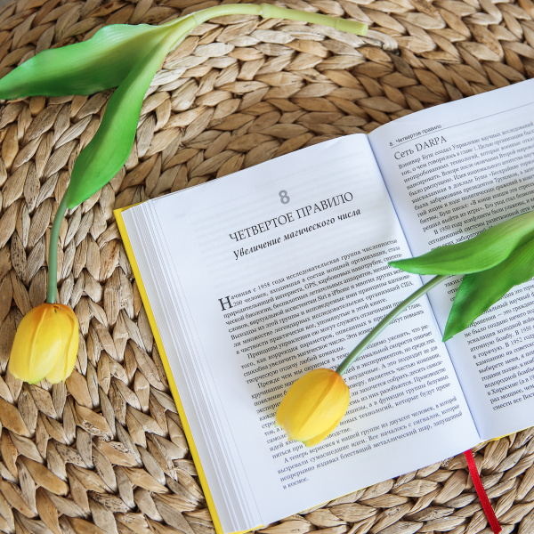 Безумные идеи