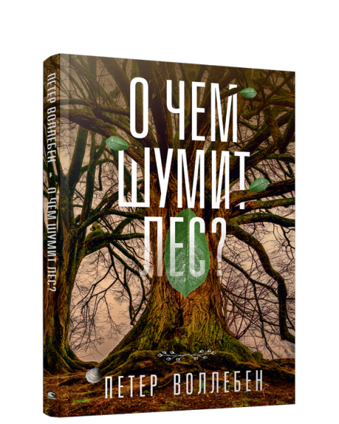 О чём шумит лес?