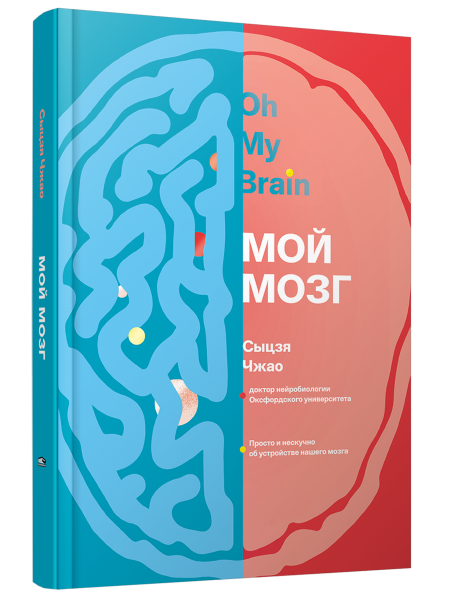 Мой мозг