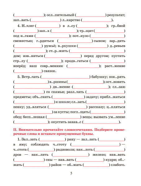 Русский язык. Тренажёр по орфографии и пунктуации. 5 класс