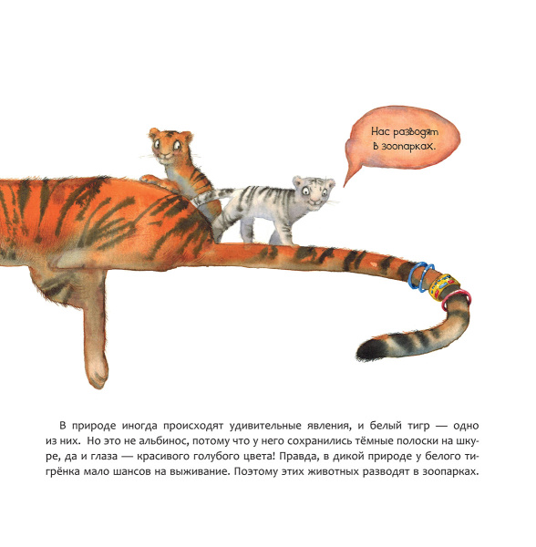 Индия. Страна мудрецов