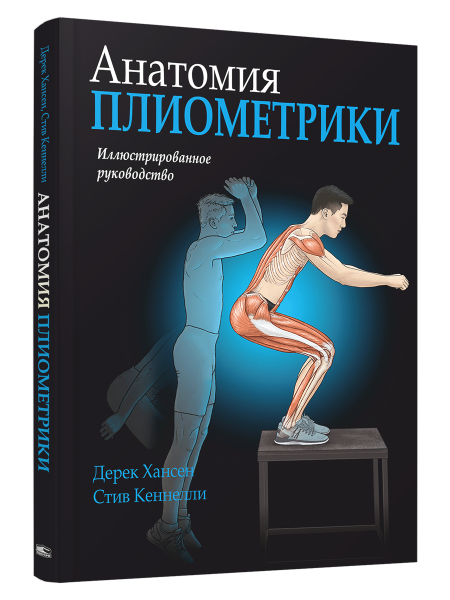 Анатомия плиометрики