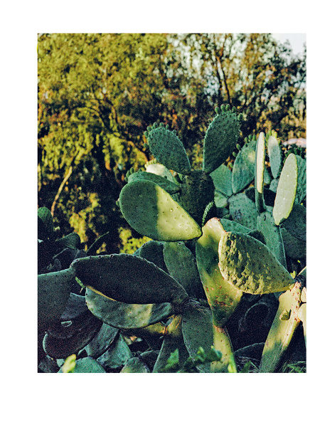 Ваби-саби: гостеприимство по-японски