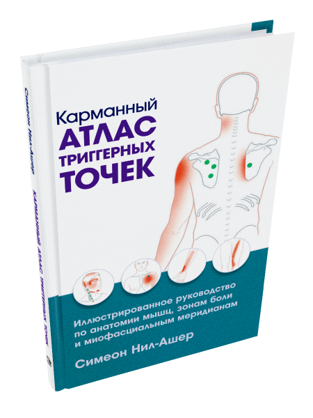 Карманный атлас триггерных точек: Иллюстрированное руководство по анатомии мышц, зонам боли и миофасциальным меридианам