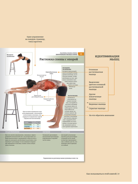 Анатомия растяжки и 100 базовых упражнений