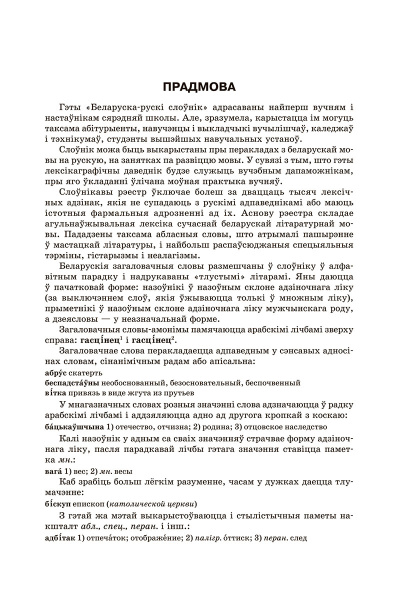 Большой белорусско-русский, русско-белорусский словарь