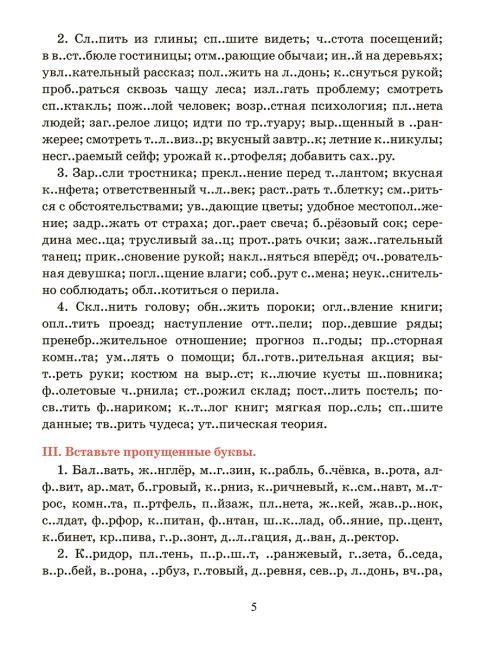 Русский язык. Тренажёр по орфографии и пунктуации. 6 класс