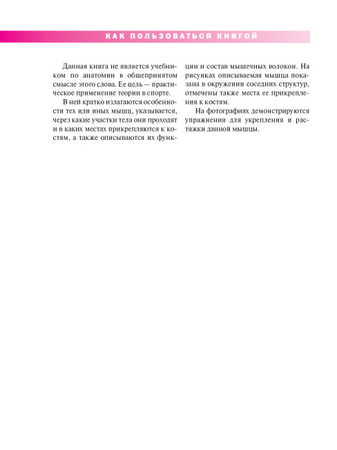 Спортивная анатомия