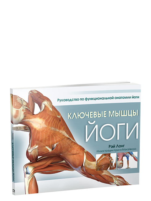 Ключевые мышцы йоги