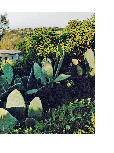 Ваби-саби: гостеприимство по-японски