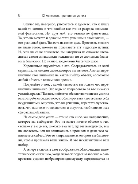 12 железных принципов успеха