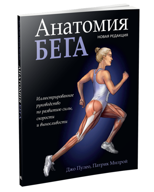 Анатомия бега