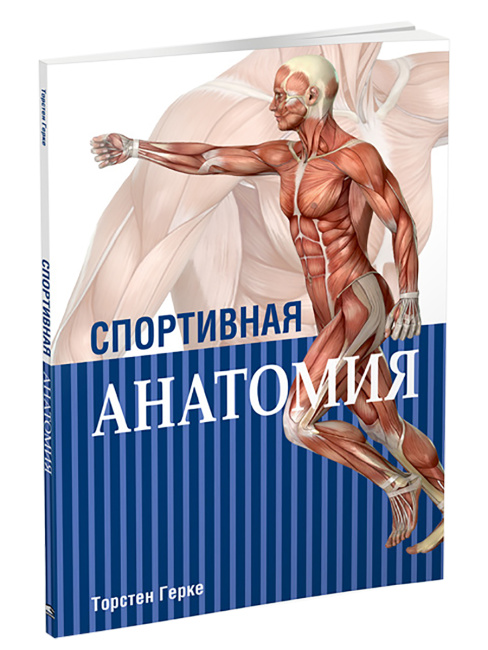 Спортивная анатомия