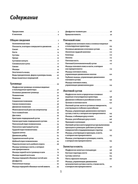 Анатомия движения: человеческое тело