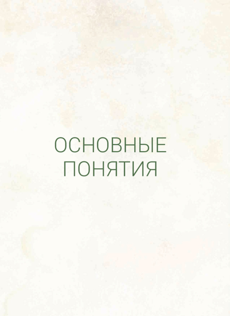 Анатомия прогибаний и скручиваний