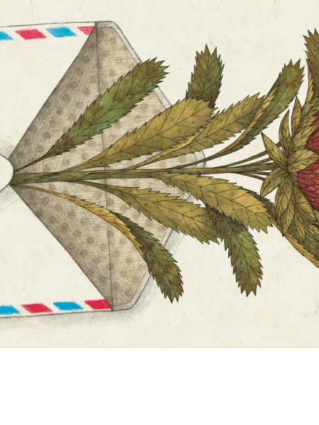 Ідэальны момант