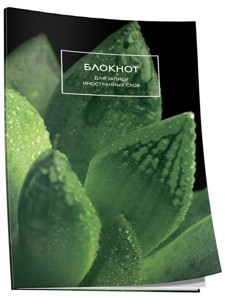 Блокнот для записи иностранных слов Суккулент