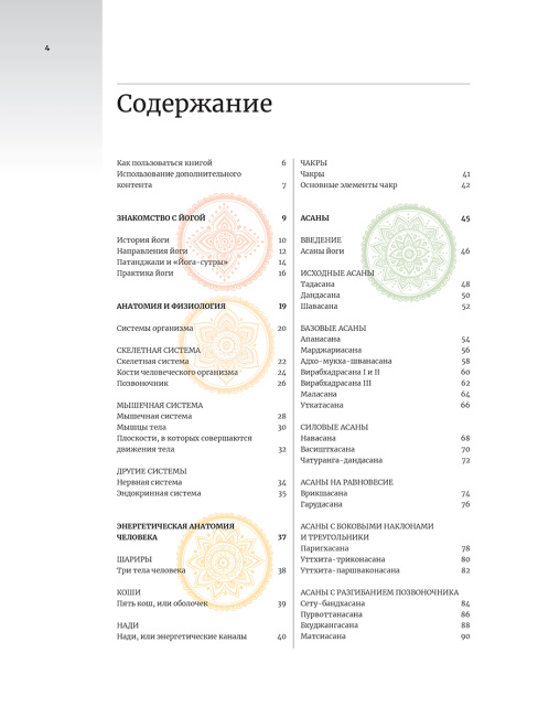 Анатомия и йога