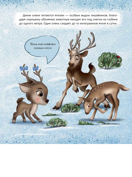 Финляндия. Страна тысячи озёр