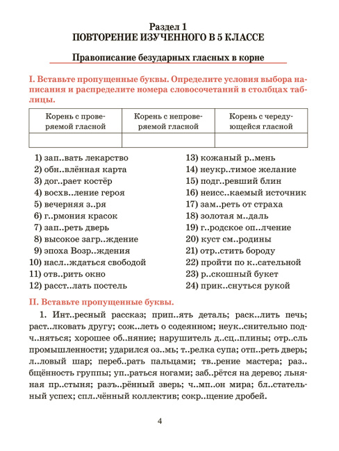 Русский язык. Тренажёр по орфографии и пунктуации. 6 класс