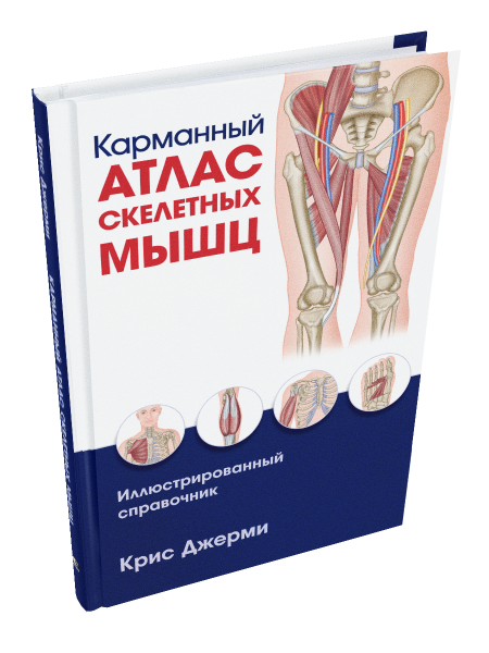 Карманный атлас скелетных мышц: Иллюстрированный справочник
