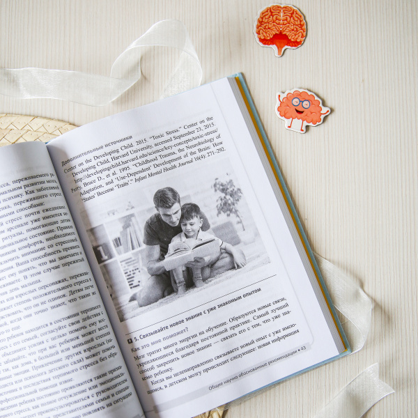 Как подготовить мозг ребенка к обучению