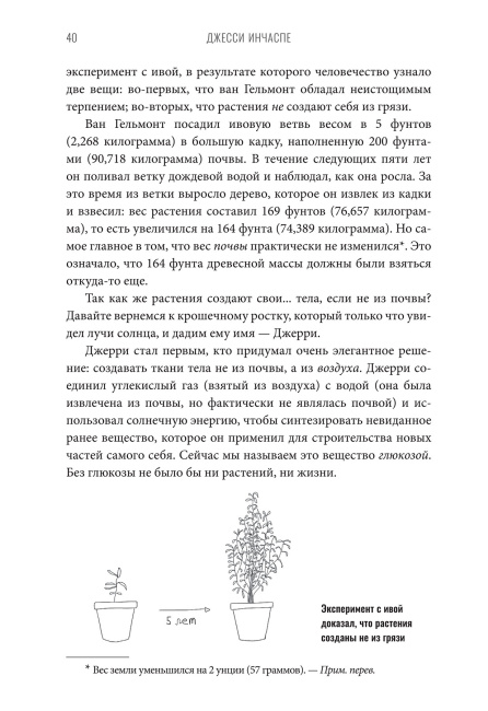 Богиня глюкозы: нормализуйте уровень сахара в крови, чтобы изменить свою жизнь