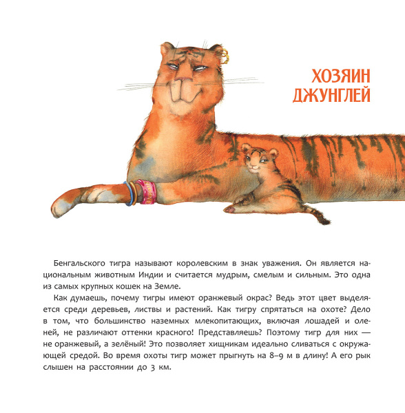 Индия. Страна мудрецов