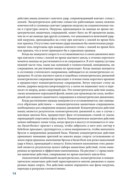 Анатомия плиометрики