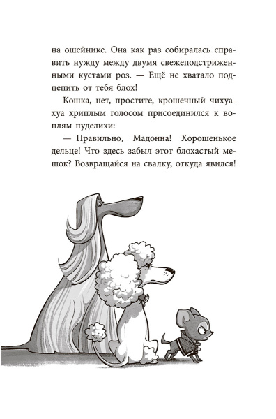 Банда бродяг: лапа лапу моет