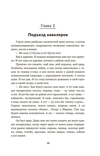 Чёрный замок Ольшанский