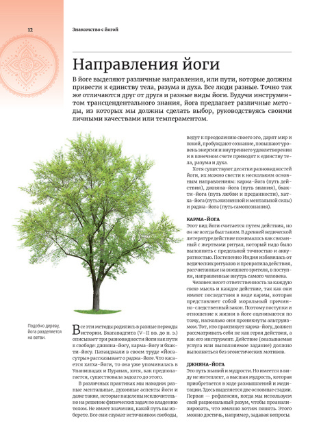 Анатомия и йога
