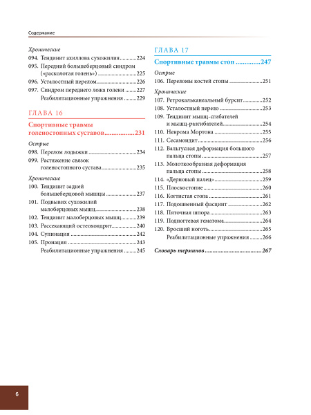 Анатомия спортивных травм