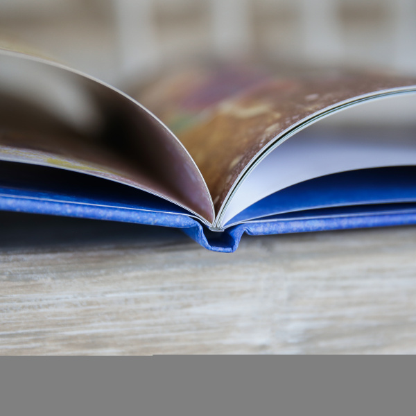 Сабака і зорачка