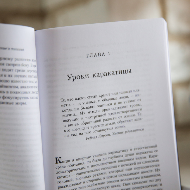 Фосфоресценция: О том, что нас поддерживает, когда мир окутывает тьма