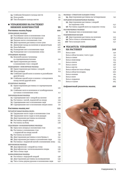 Анатомия растяжки и 100 базовых упражнений