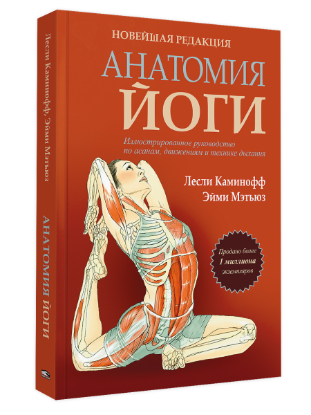 Анатомия йоги. Новейшая редакция