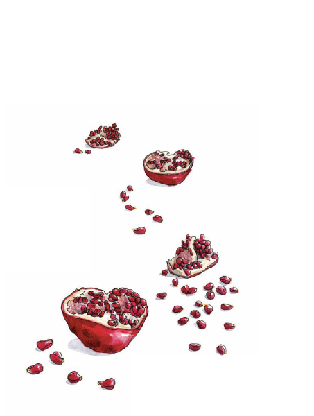 Соль, жир, кислота, жар. Главные элементы хорошей кухни