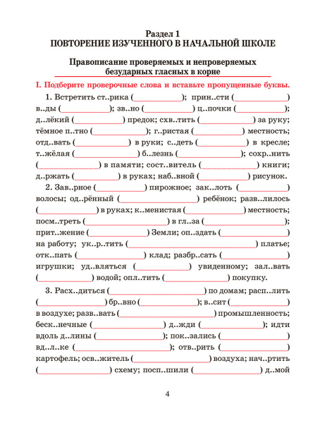 Русский язык. Тренажёр по орфографии и пунктуации. 5 класс