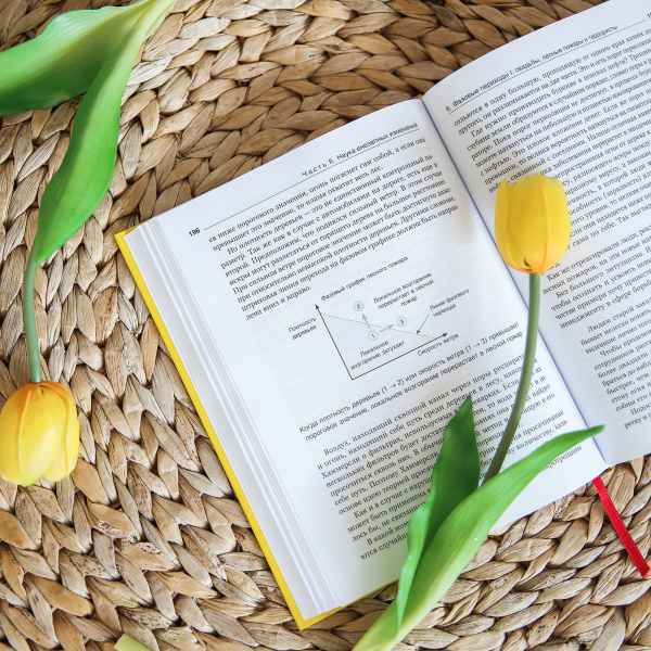 Безумные идеи