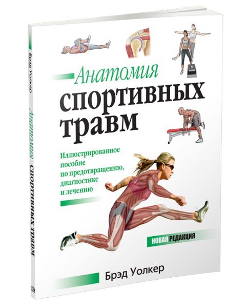 Анатомия спортивных травм