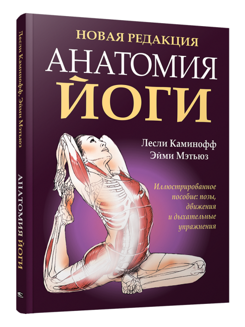 Анатомия йоги