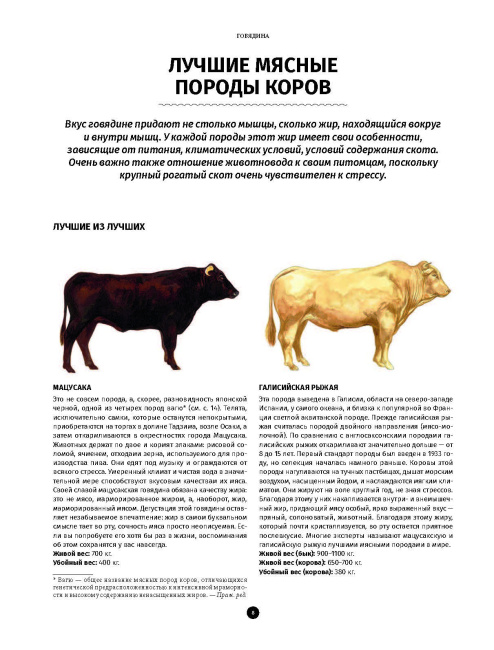 Мясо. Полное иллюстрированное руководство