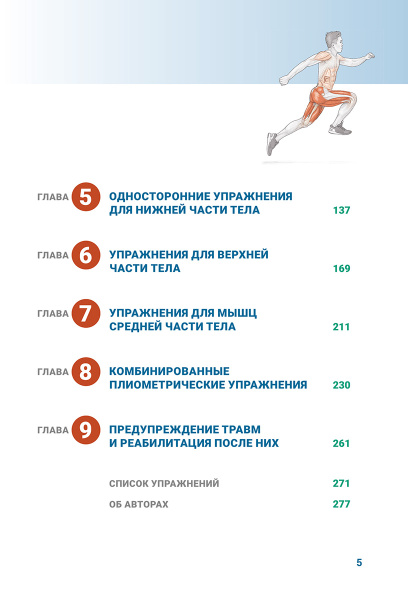 Анатомия плиометрики