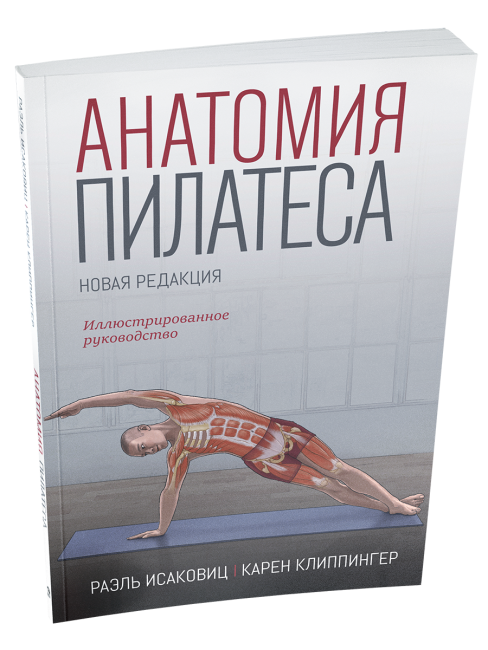 Анатомия пилатеса