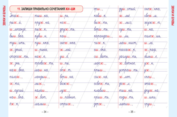 Русский язык. Развивающий тренажёр. 2 класс