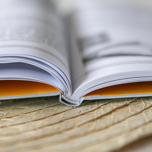 Как подготовить мозг ребенка к обучению