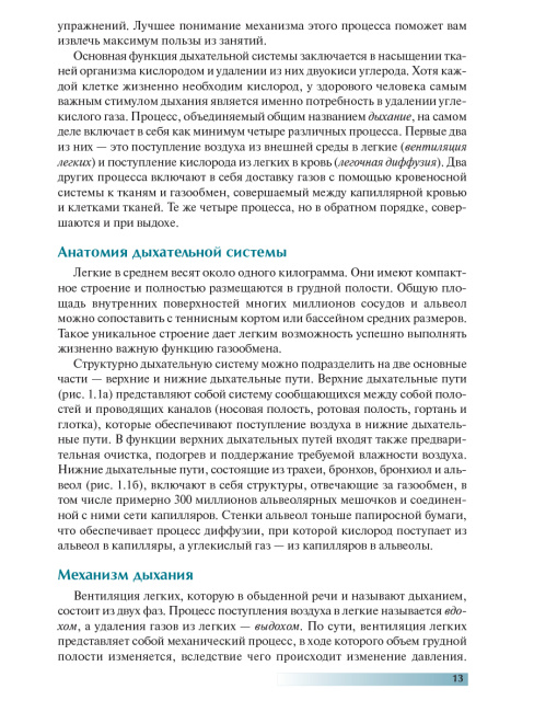 Анатомия пилатеса