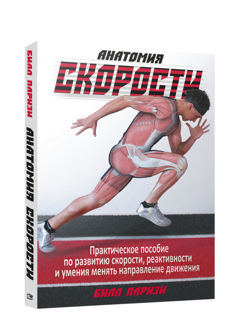 Анатомия скорости